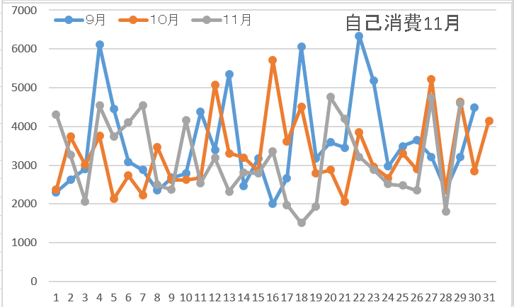 自己消費11月4週