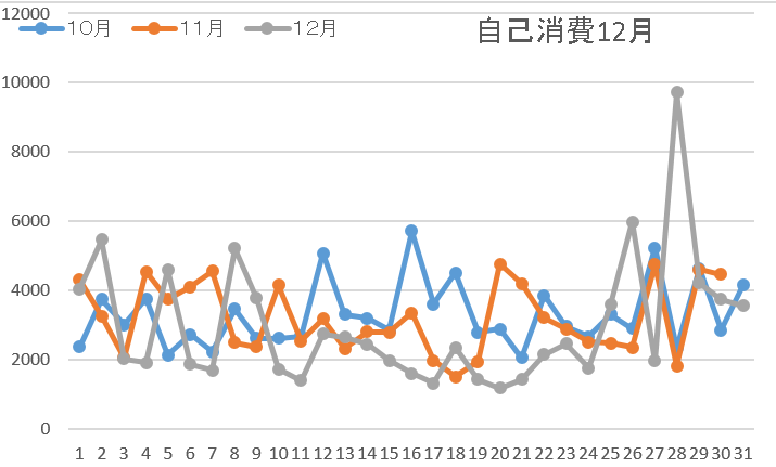 自己消費12月5週