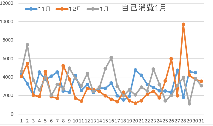 自己消費1月4週