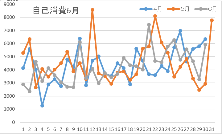 自己消費6月