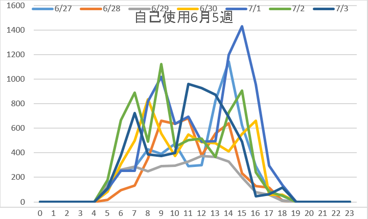 自己使用6月5週