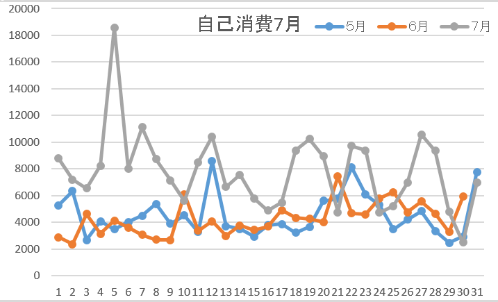 自己消費7月